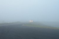 DSC 2009 (Medium)