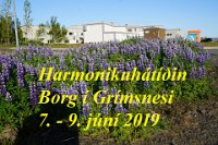 Borg í Grímsnesi júní 2019