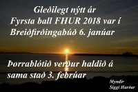 Harmonikuball januar 2018