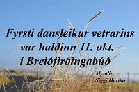 Harmonikuballið 11 október 2014