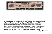 Harmonikuhátíðin í Jyderup í Danmörk 2013