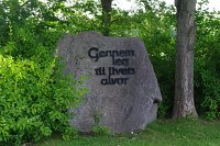 IMGP2250 (Medium)